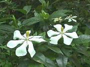 �����@���q