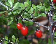 �����@�N�R