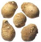 �����@�^�N�V��