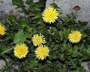 �����@�����p