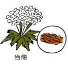 ���̓��̊�����@���A